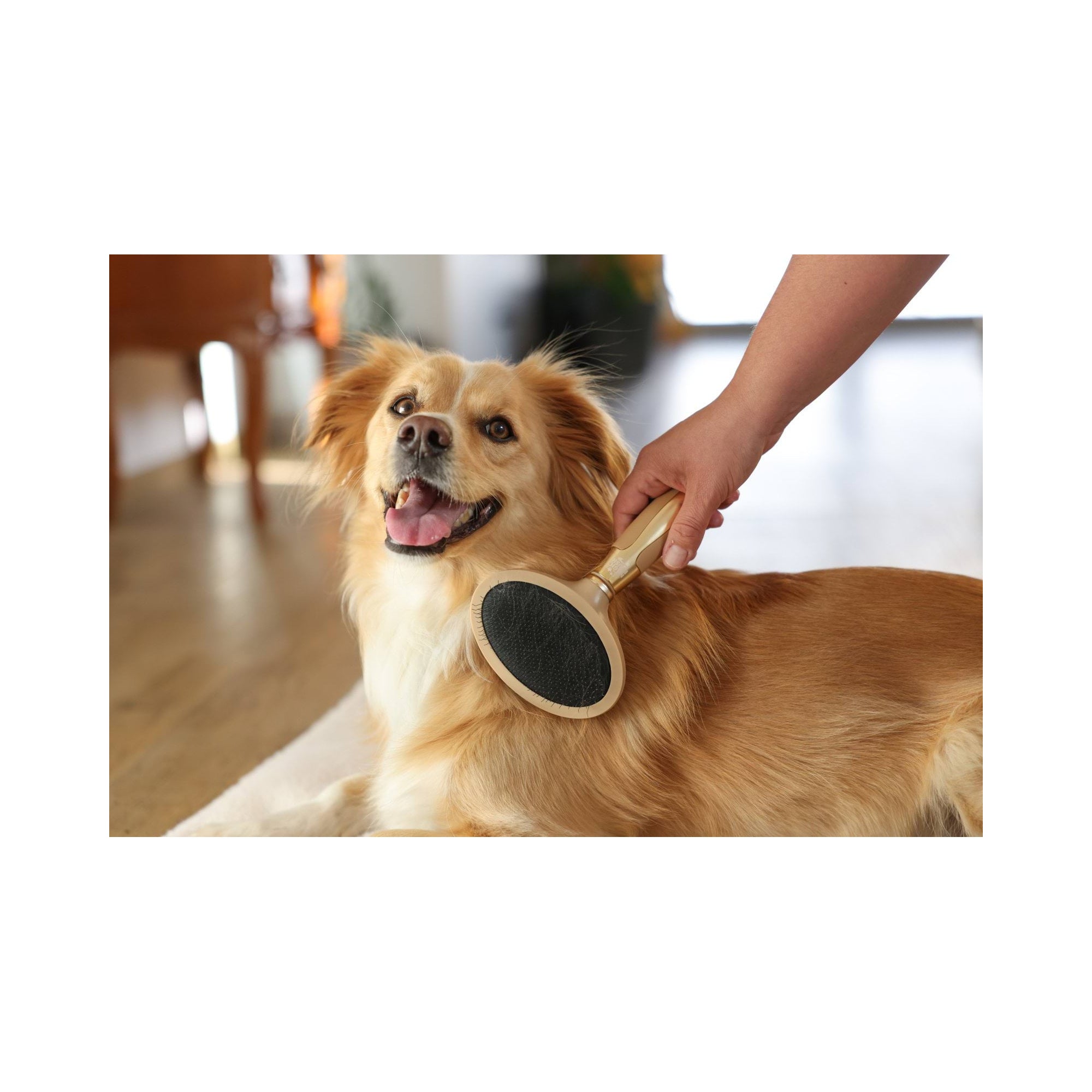 MAGIC BRUSH SZCZOTKA DO WYCZESYWANIA PODSZERSTKA 21 CM