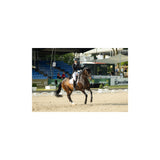 PIKEUR LAURE SD BRYCZESY JEŹDZIECKIE Z WYSOKIM STANEM BIAŁE DAMSKIE