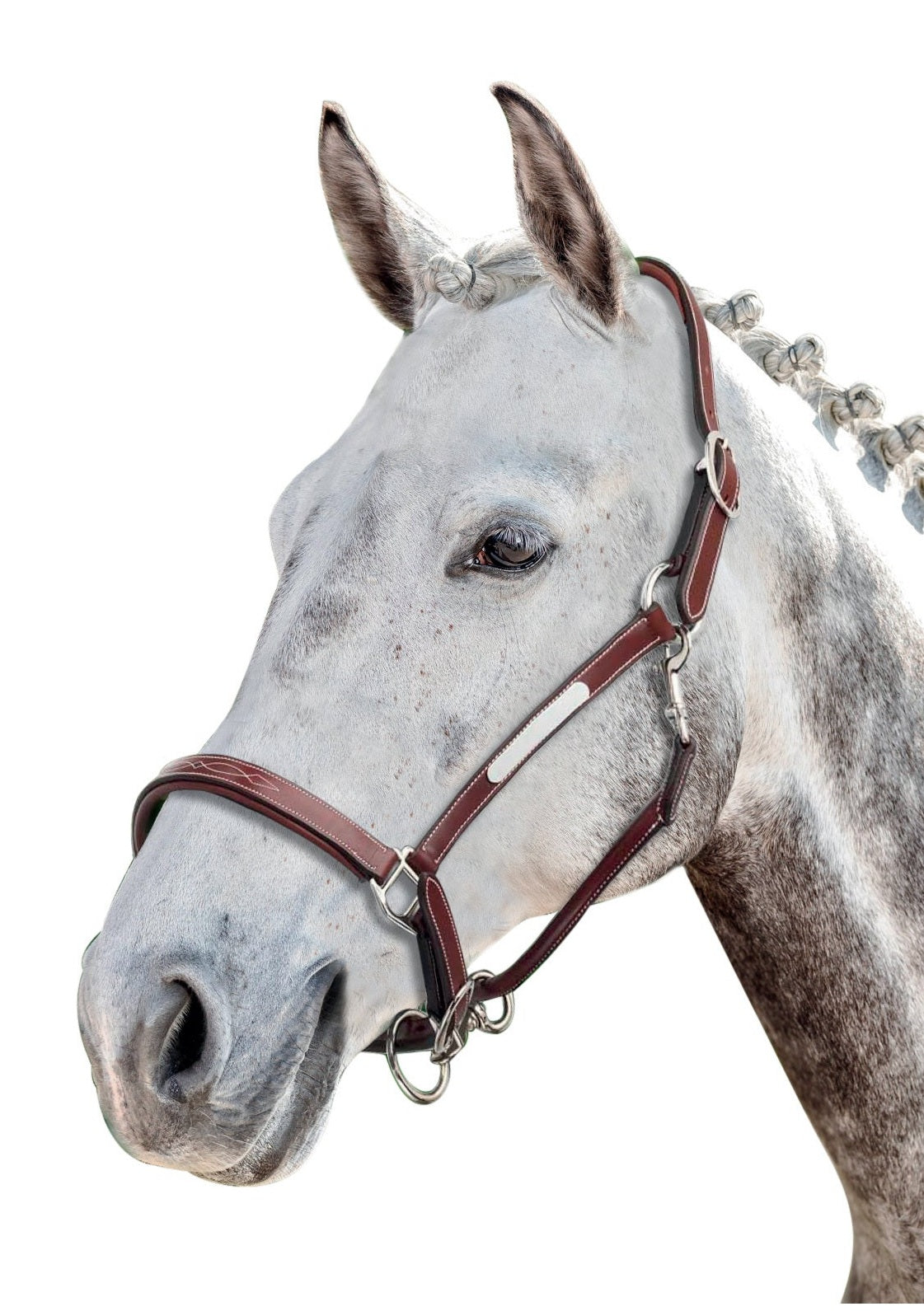 PRESTIGE ITALIA KANTAR E53 SKÓRA