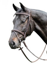 PRESTIGE ITALIA OGŁOWIE E37 SKÓRZANE