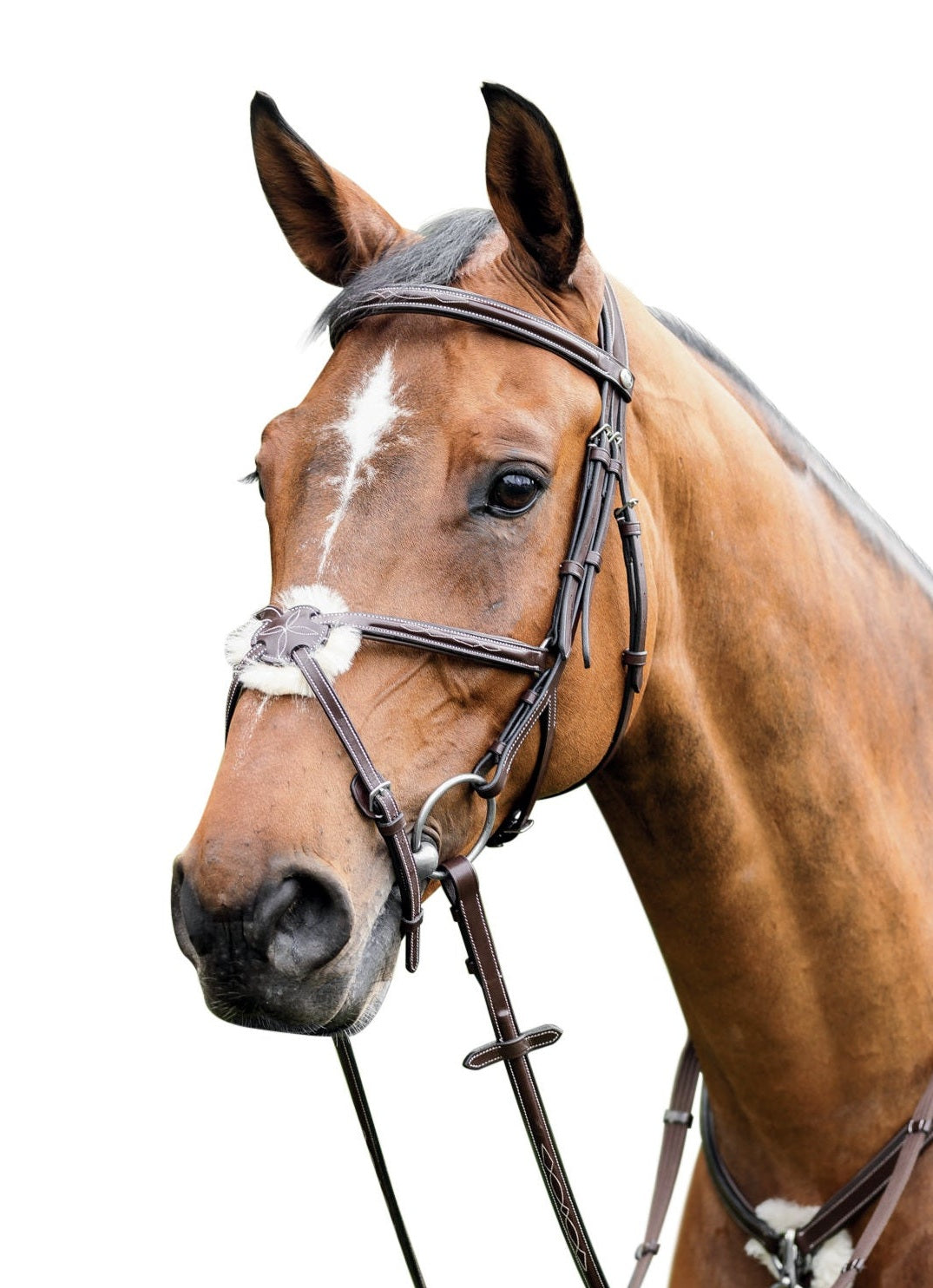 PRESTIGE ITALIA OGŁOWIE E80 SKÓRZANE