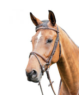 PRESTIGE ITALIA OGŁOWIE SKÓRZANE E87