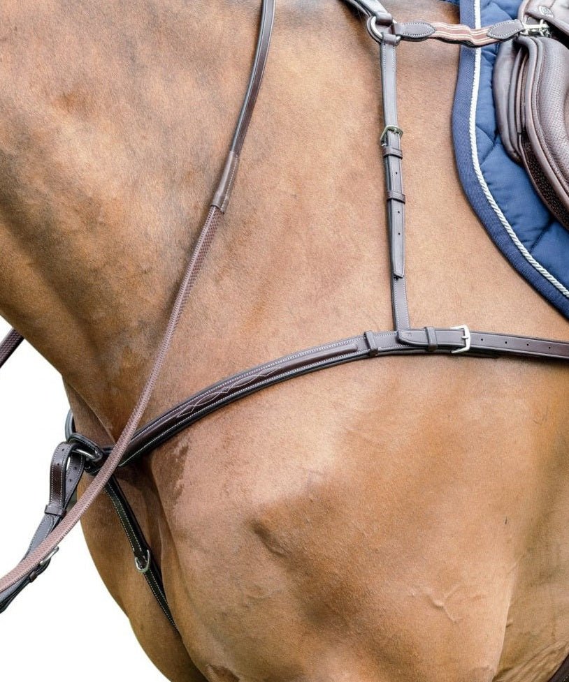 PRESTIGE ITALIA NAPIERŚNIK D42 ELASTYCZNY - Prestige Italia Equishop