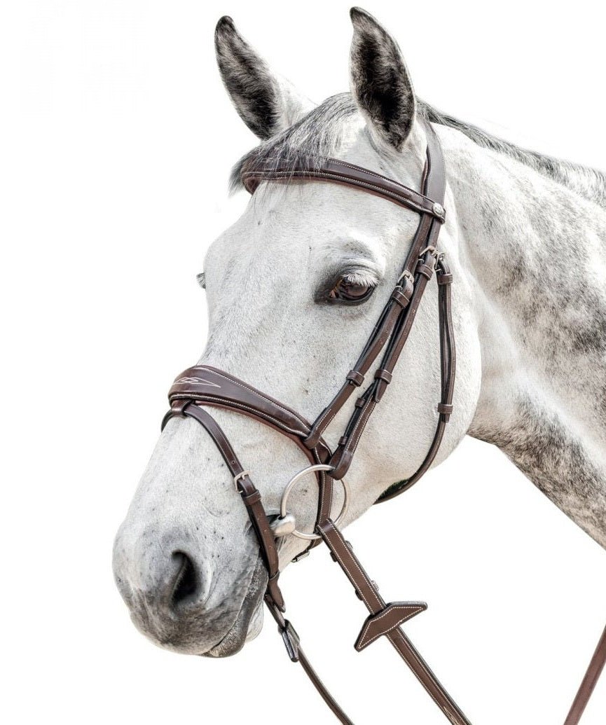 PRESTIGE ITALIA OGŁOWIE E141 ANGIELSKIE - Prestige Italia Equishop