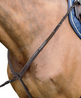 PRESTIGE ITALY NAPIERŚNIK D36 DWUPUNKTOWY - Prestige Italia Equishop