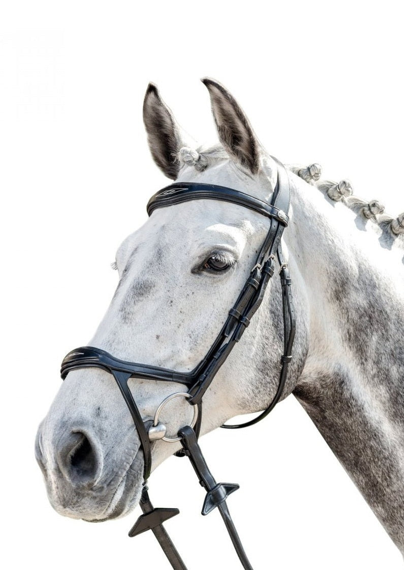 PRESTIGE ITALY OGŁOWIE E143 Z PODWÓJNYM NACHRAPNIKIEM