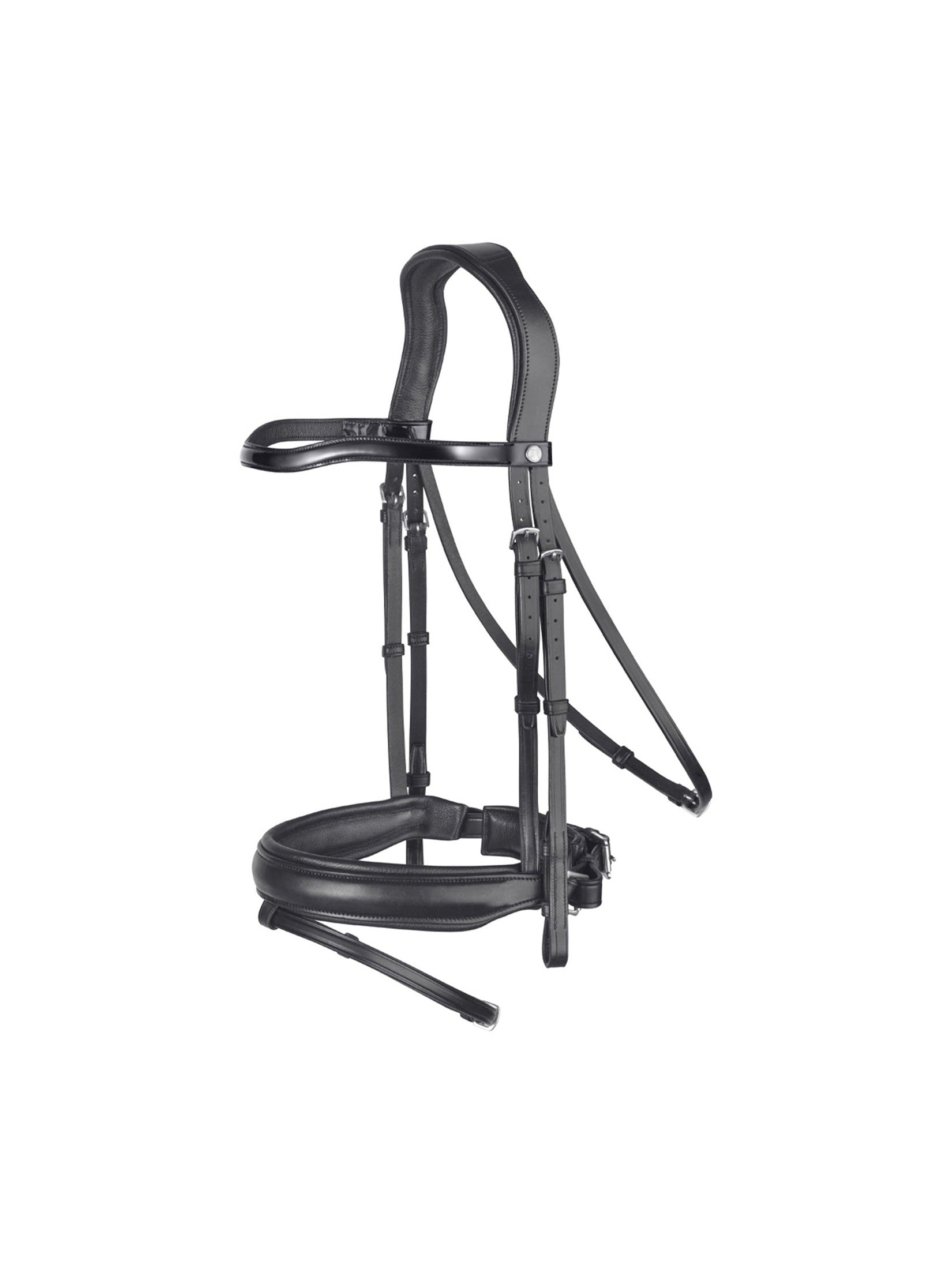 RENAISSANCE OGŁOWIE UJEŻDŻENIOWE E157