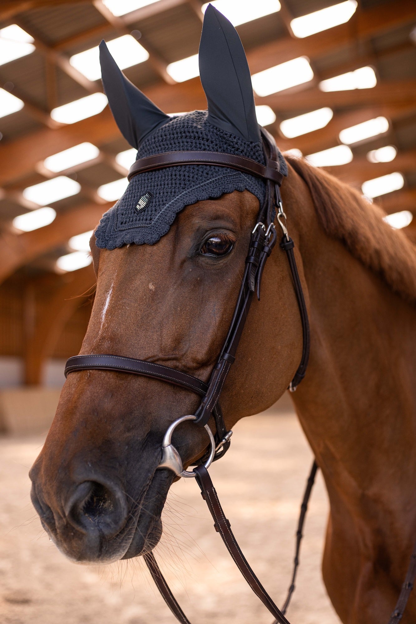 SAMSHIELD NAUSZNIKI DLA KONIA FLYSHIELD SWAROVSKI - SAMSHIELD Equishop