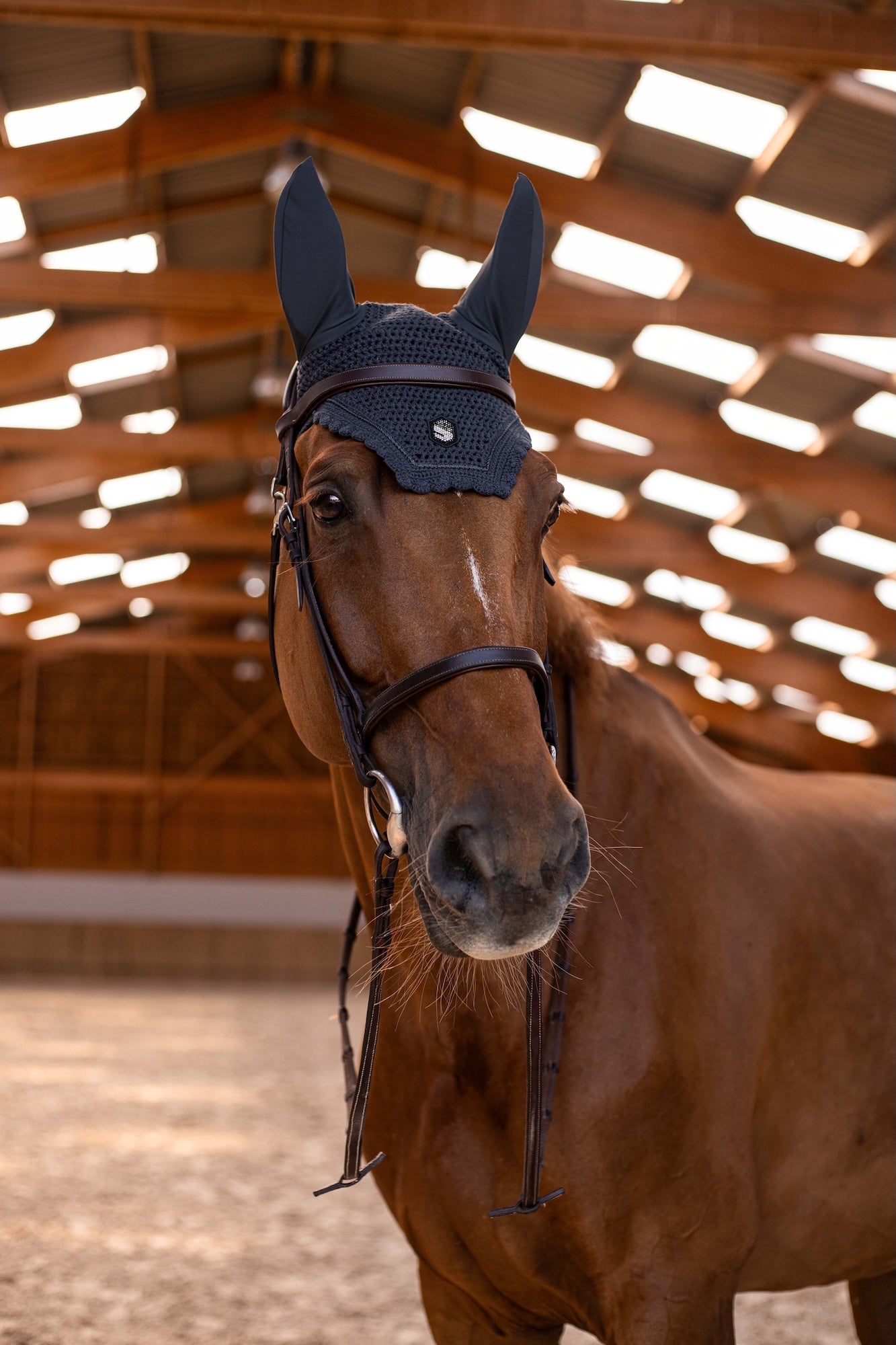 SAMSHIELD NAUSZNIKI DLA KONIA FLYSHIELD SWAROVSKI - SAMSHIELD Equishop