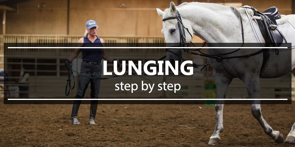 How To Lunge A Horse In A Round Pen Top 10 Lunging Mistakes And How