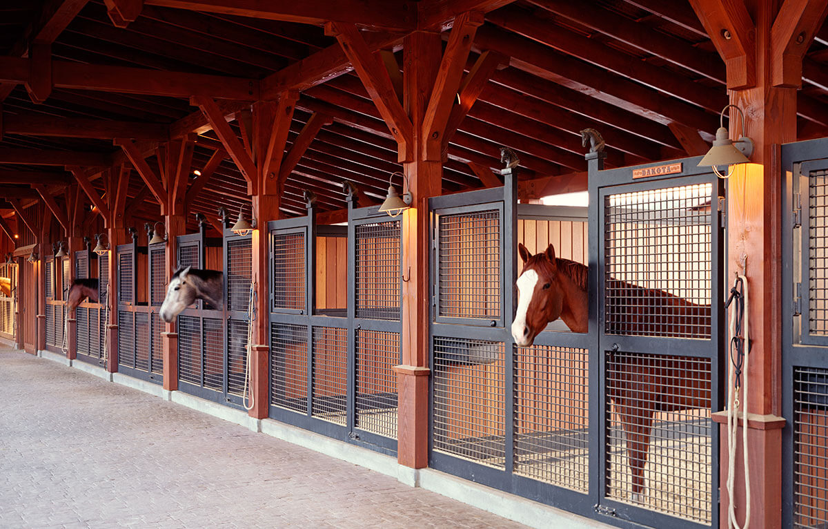 20 Barn Aisles You Have to See! Equestrian Shop