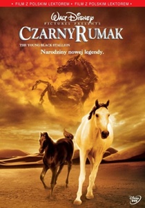 01czarny-rumak_1