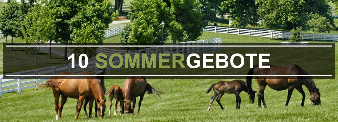 10-przykazań-na-lato-DE