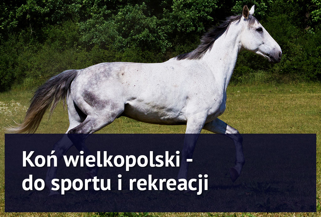 EQ-Blog-PL-03-1024x692