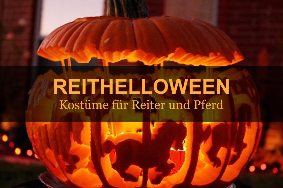 Jeździeckie-halloween-przebrania-dla-jeźdźca-i-konia-DE