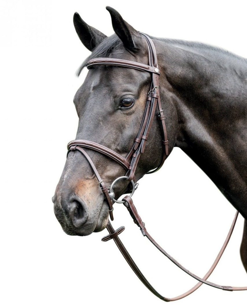 prestige-italia-oglowie-e37-skorzane