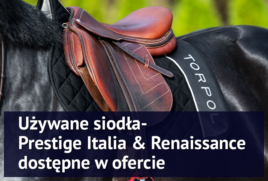 BLOG_02_siodłaużywane