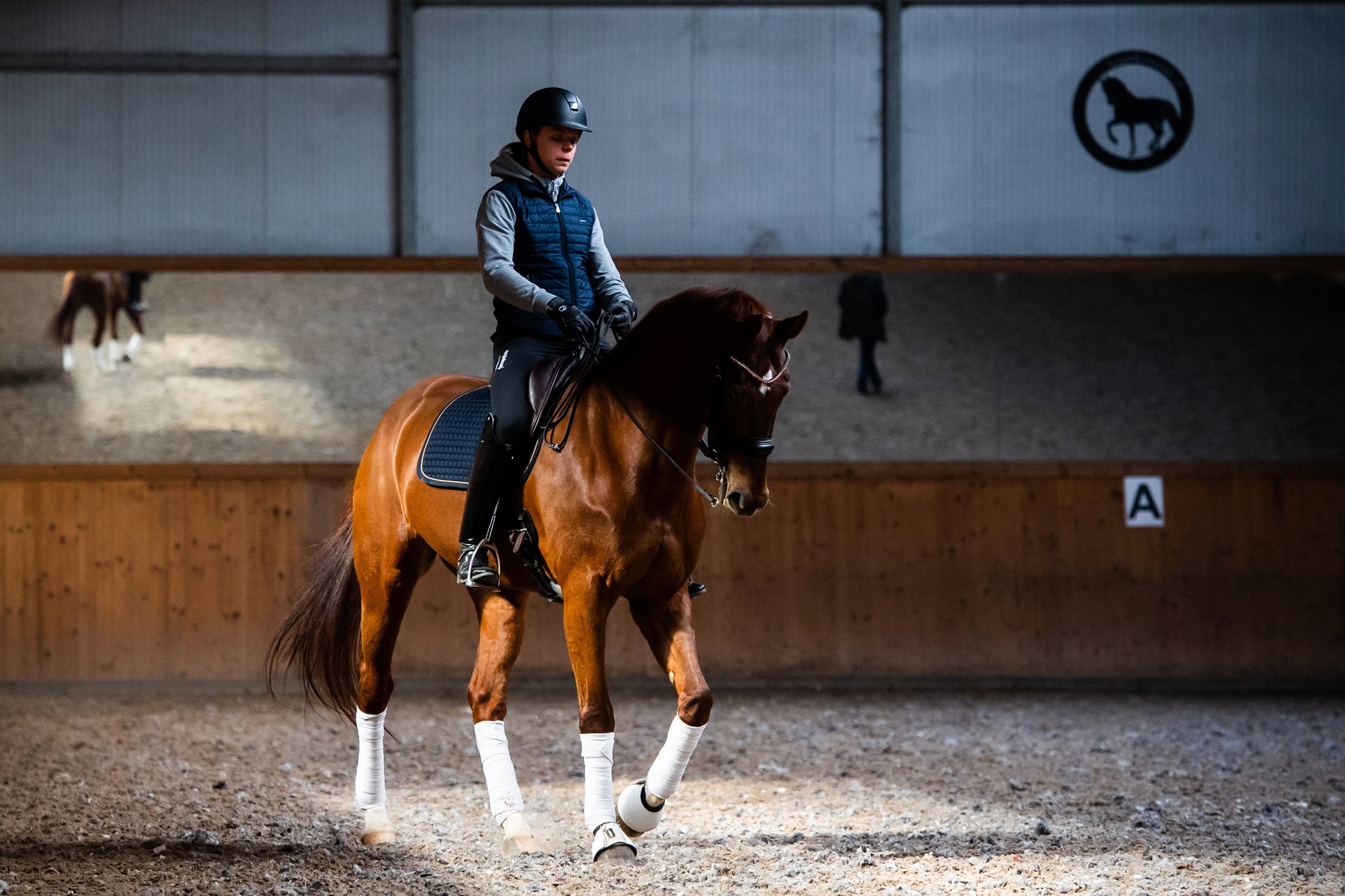 filip_kowalski_siodla_prestige