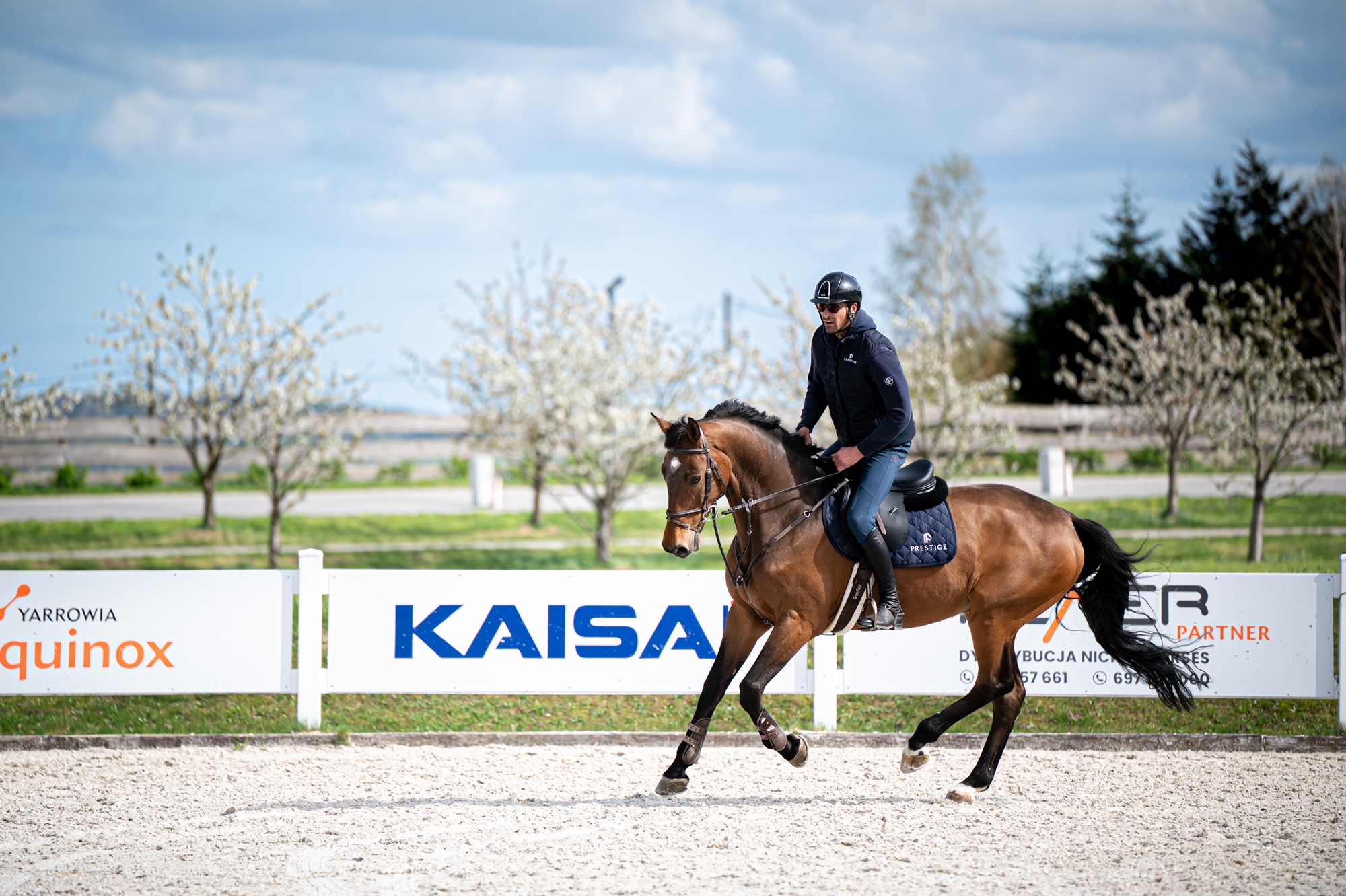 adam_nicpon_berlomino_prestige_italia