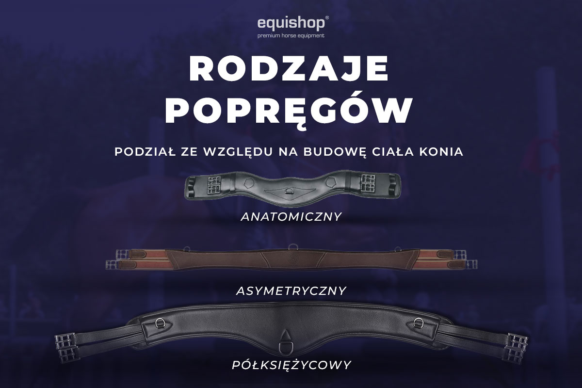 RODZAJE-ANATOMIA_BLOG_1200x800-