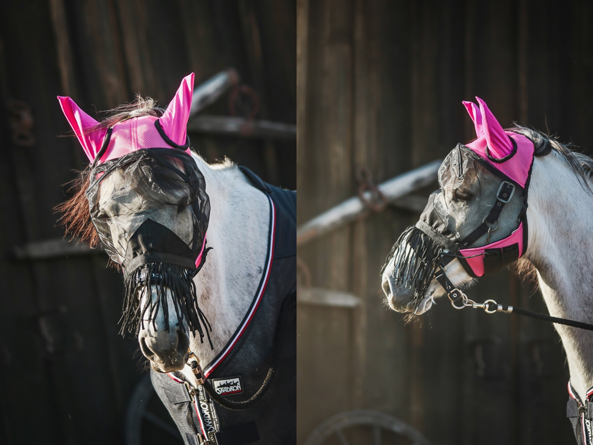 maska_przeciwowadowa_dla_konia