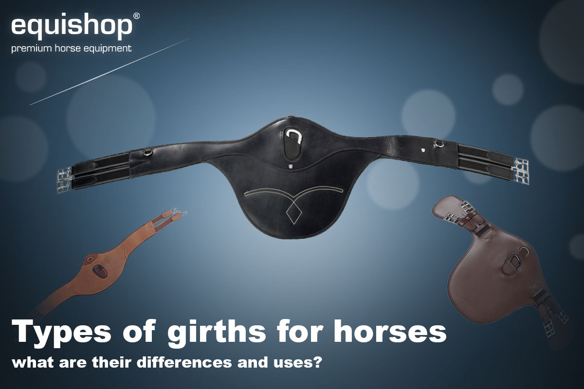 Types of girths for horses what are their differences and uses? Equestrian Shop