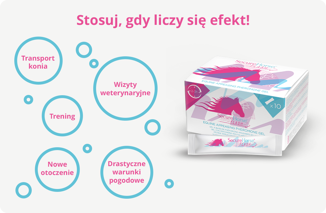 SEC_FermoneLandingPage_06