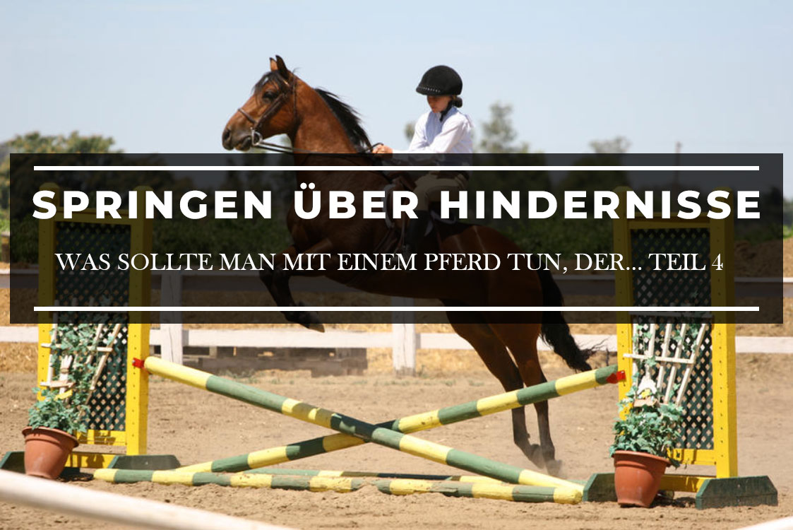 springen-uber-hindernisse-4