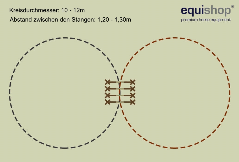 Szereg-koziołków-ósemka1-DE