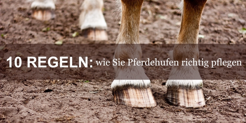 Wie-Sie-Pferdehufen-richtig-pflegen_1
