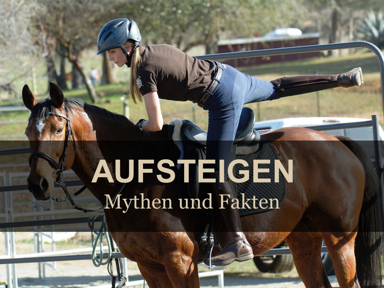 Wsiadanie-na-konia-prawdy-i-mity-DE