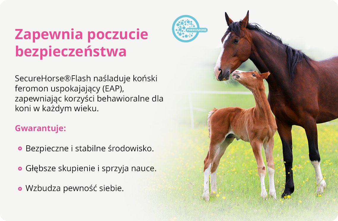 SEC_FermoneLandingPage_02_r1