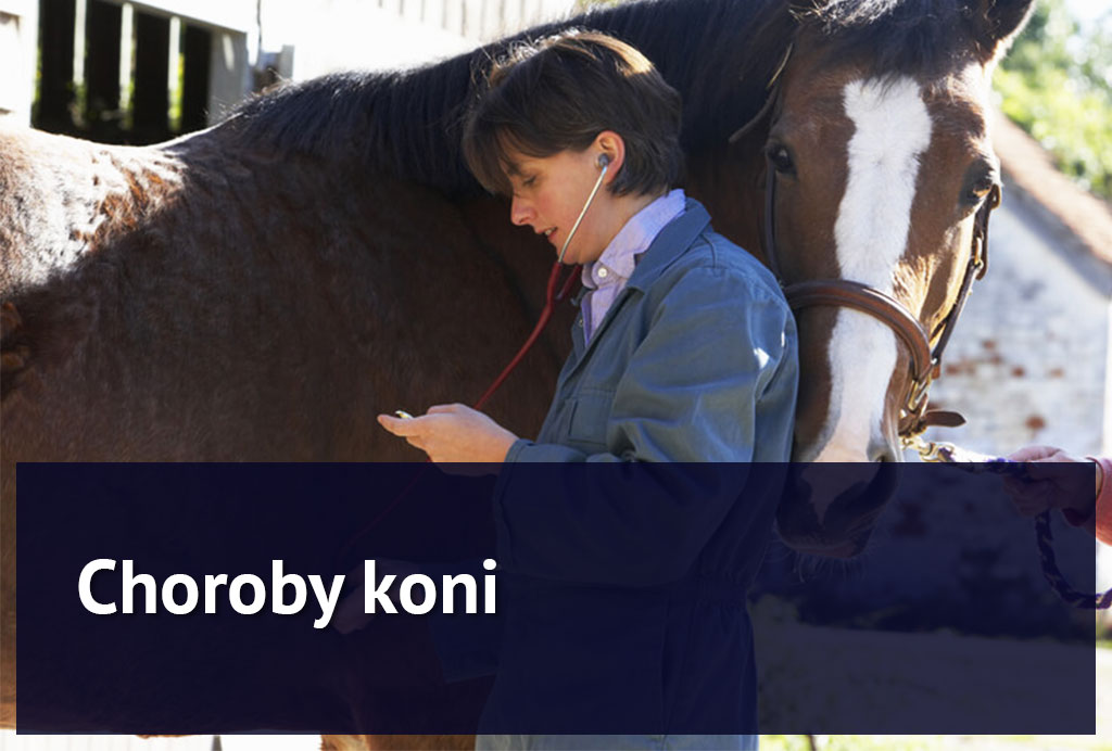 EQ-Blog-PL-27-1024x692