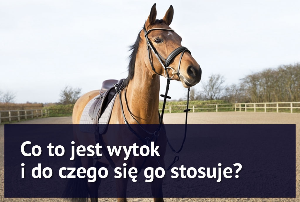 kon_w_wytoku