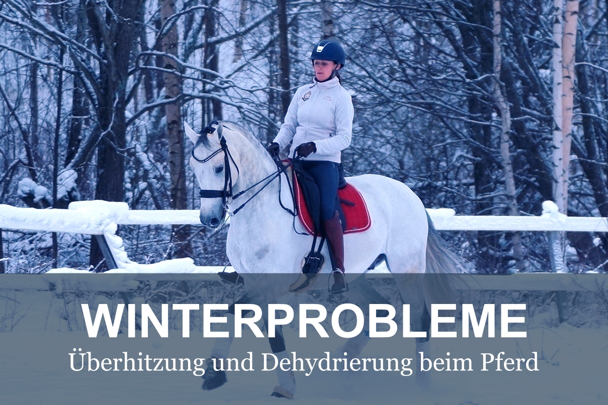 dehydrierung-beim-Pferd-elektrolyte