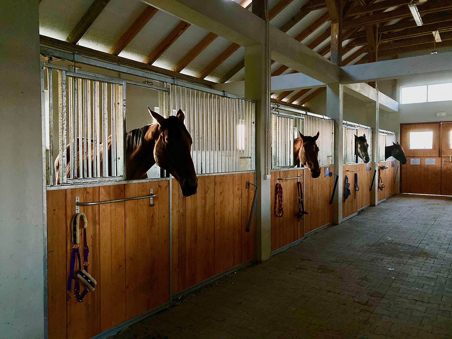 Stajnia KJ Czarny Dunajec