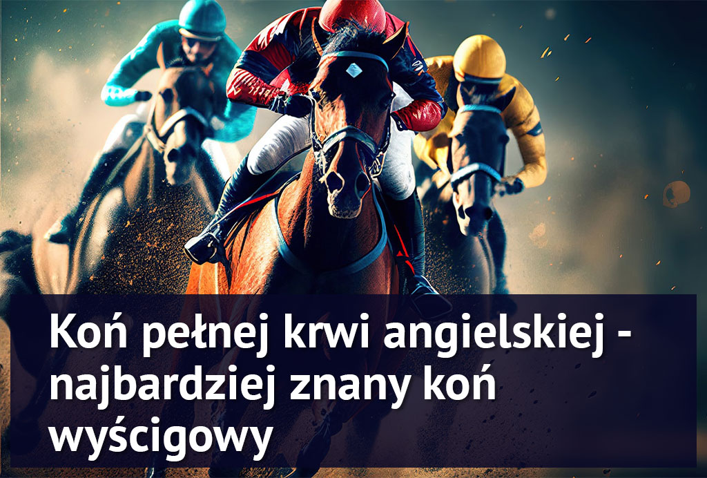 konie_wyscigowe