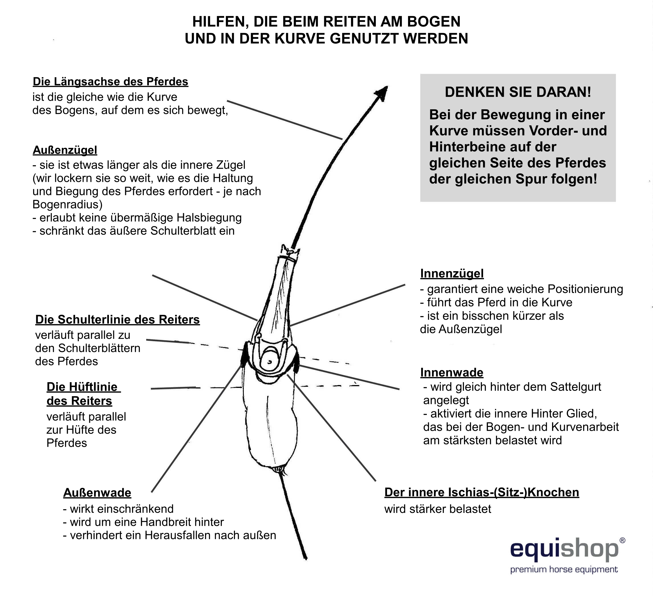 koń-prawidłowo-wygięty-na-łuku-działanie-pomocy1-DE