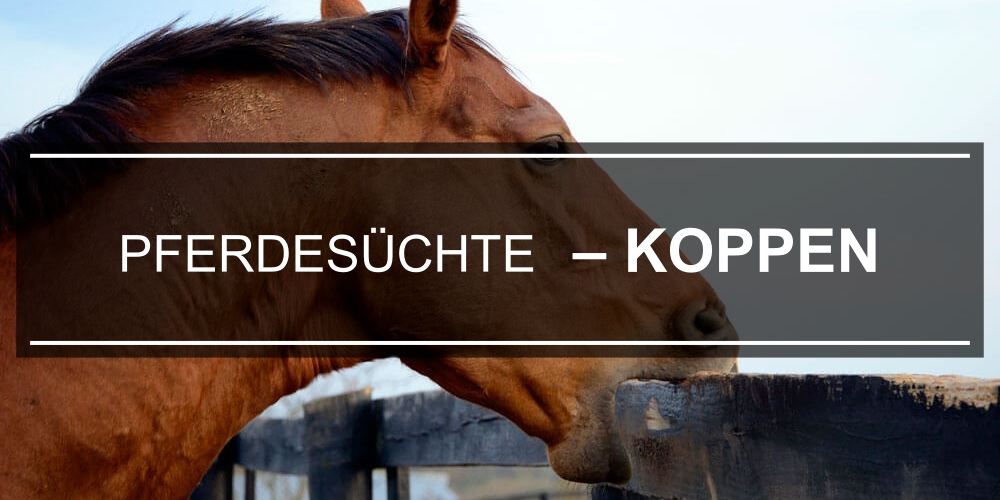 końskie-nałogi-łykanie-DE_1