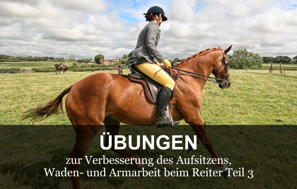 nauka-jazdy-konnej-3-DE