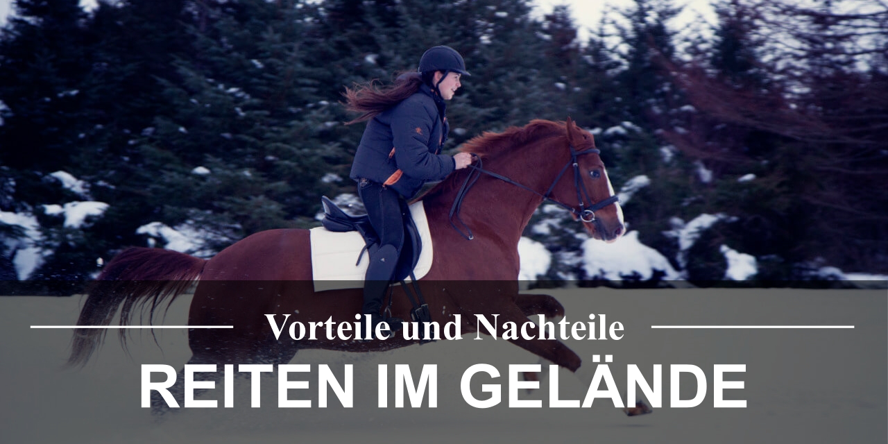 pferdereiten-im-gelände
