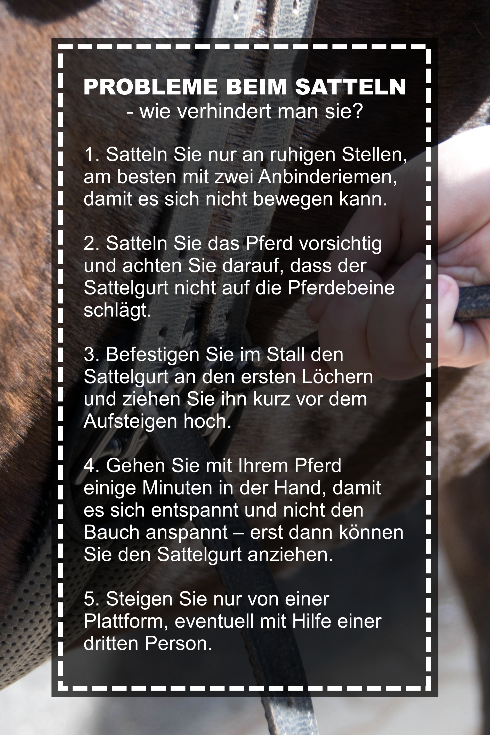 probleme-beim-satteln