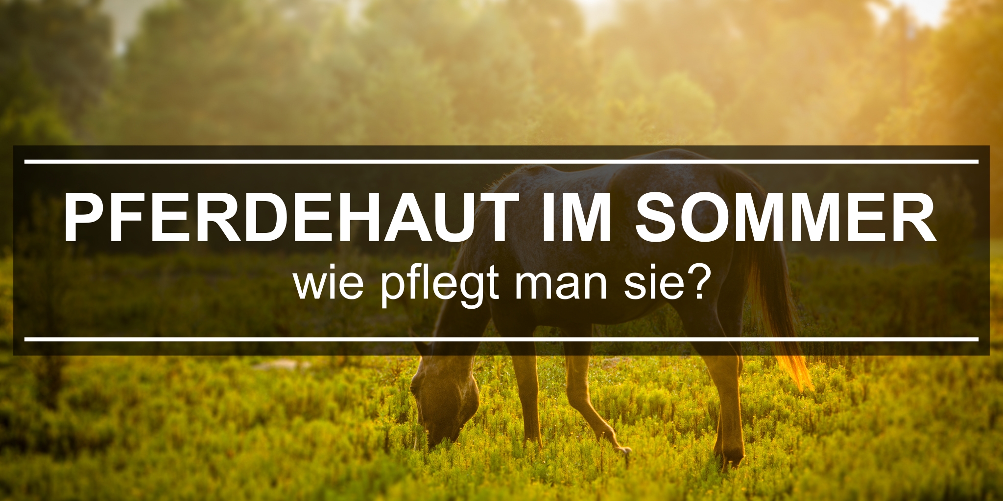 produkty-pielęgnacyjne-dla-koni-DE