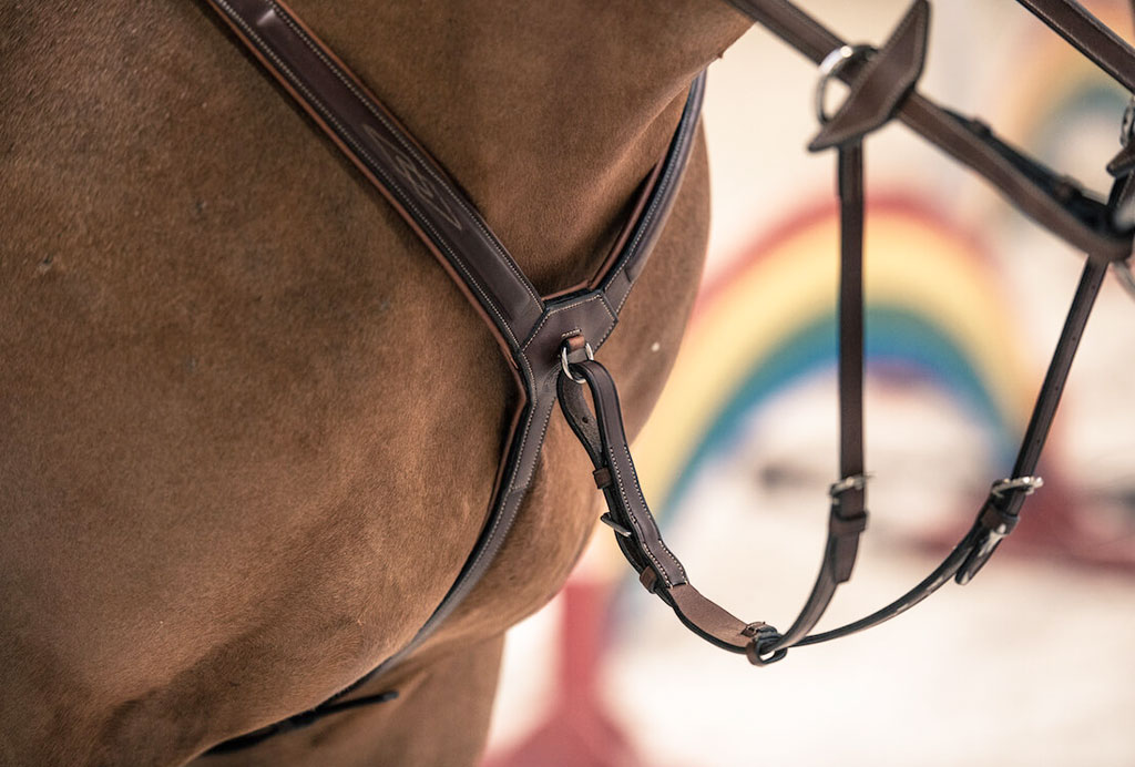 EQ-Blog-PL-47-1024x692-CLEAN