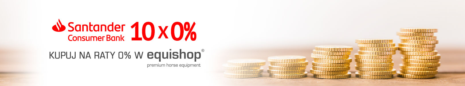 Raty 10x0% z Santander