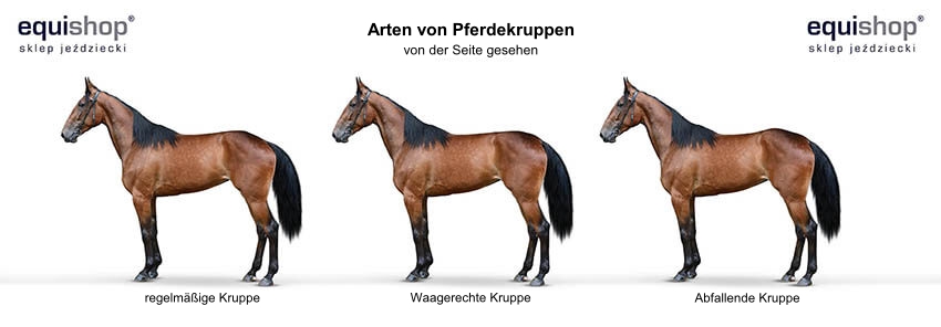 rodzaje-zadow-konia-m-DE_1