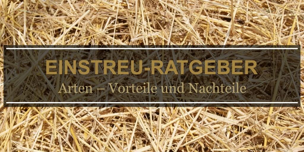 słoma-siano-trociny-DE