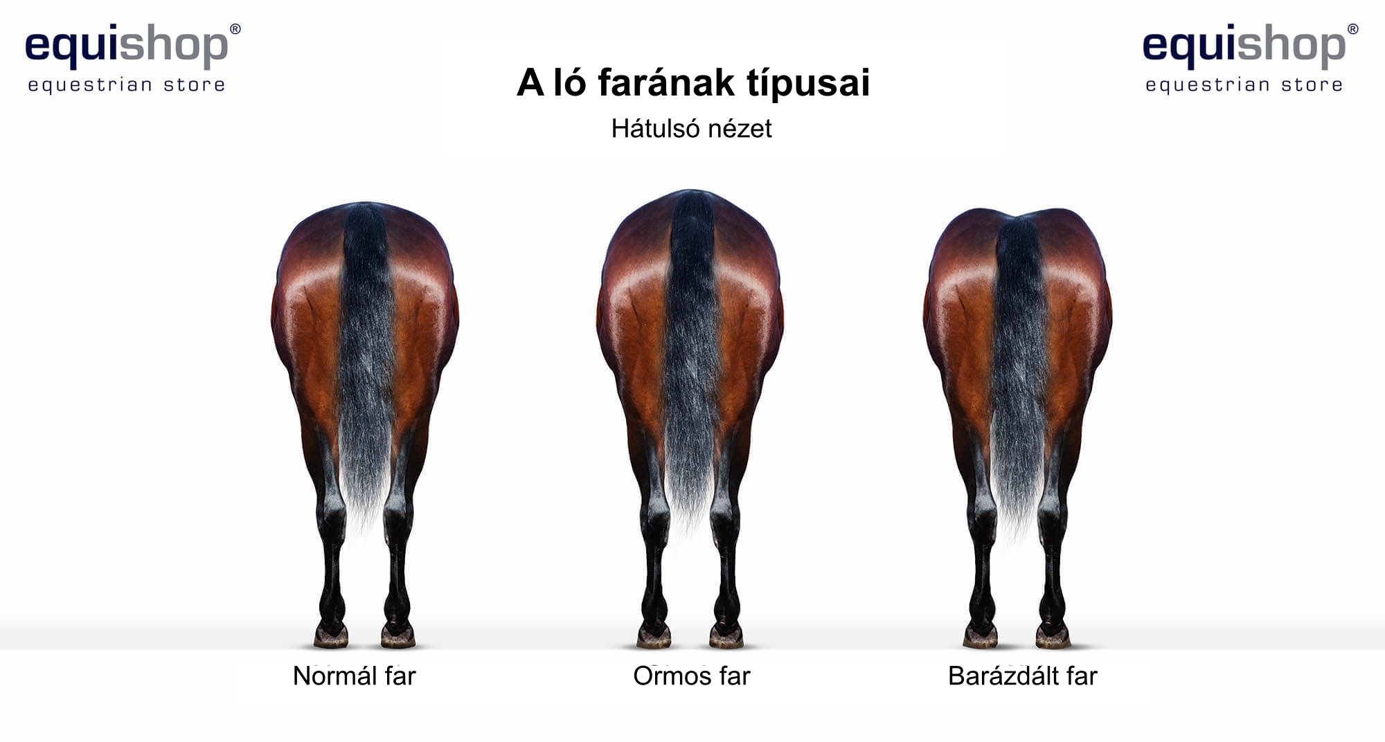 types-of-quarters-HU