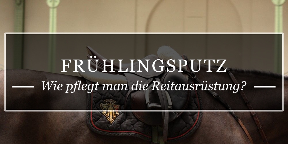 wiosenne-porządki-DE