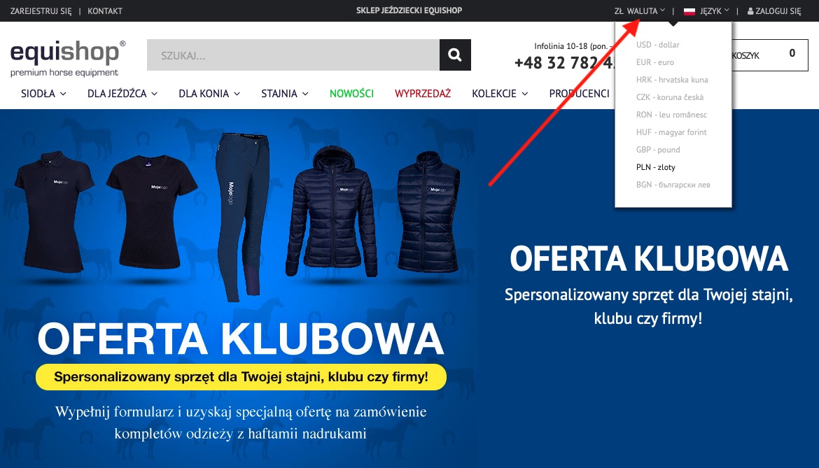 zmiana-waluty-na-stronie